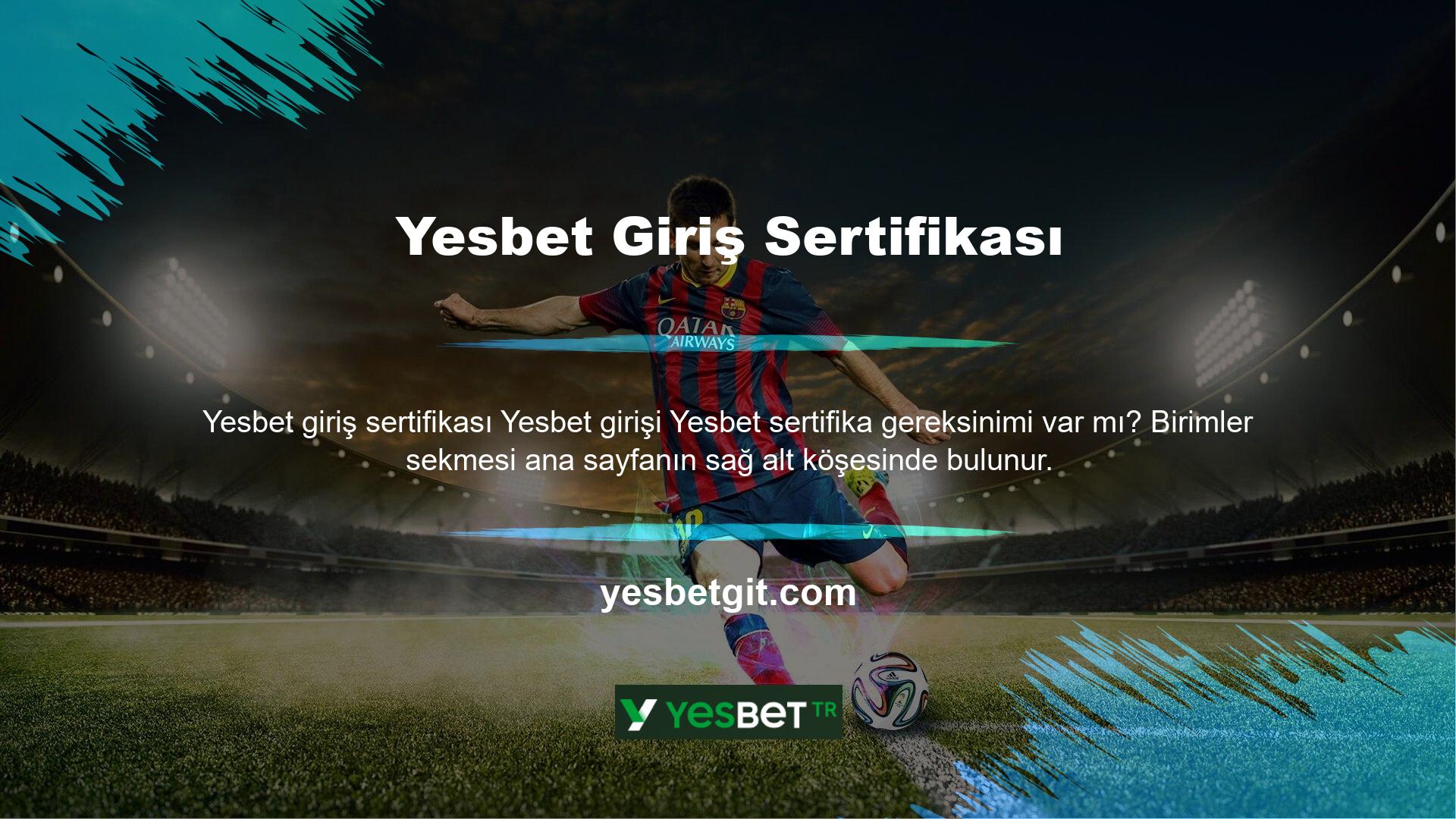 Bu sekmeye tıkladığınızda, küçük bir pencere açılır